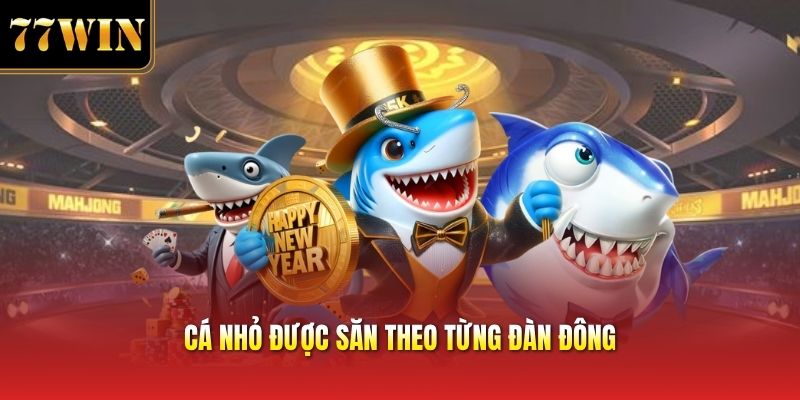 Cá nhỏ được săn theo từng đàn đông