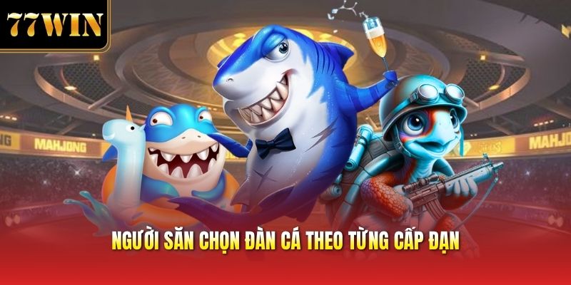 Người săn chọn đàn cá theo từng cấp đạn