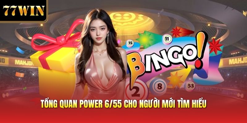 Tổng quan power 6/55 cho người mới tìm hiểu
